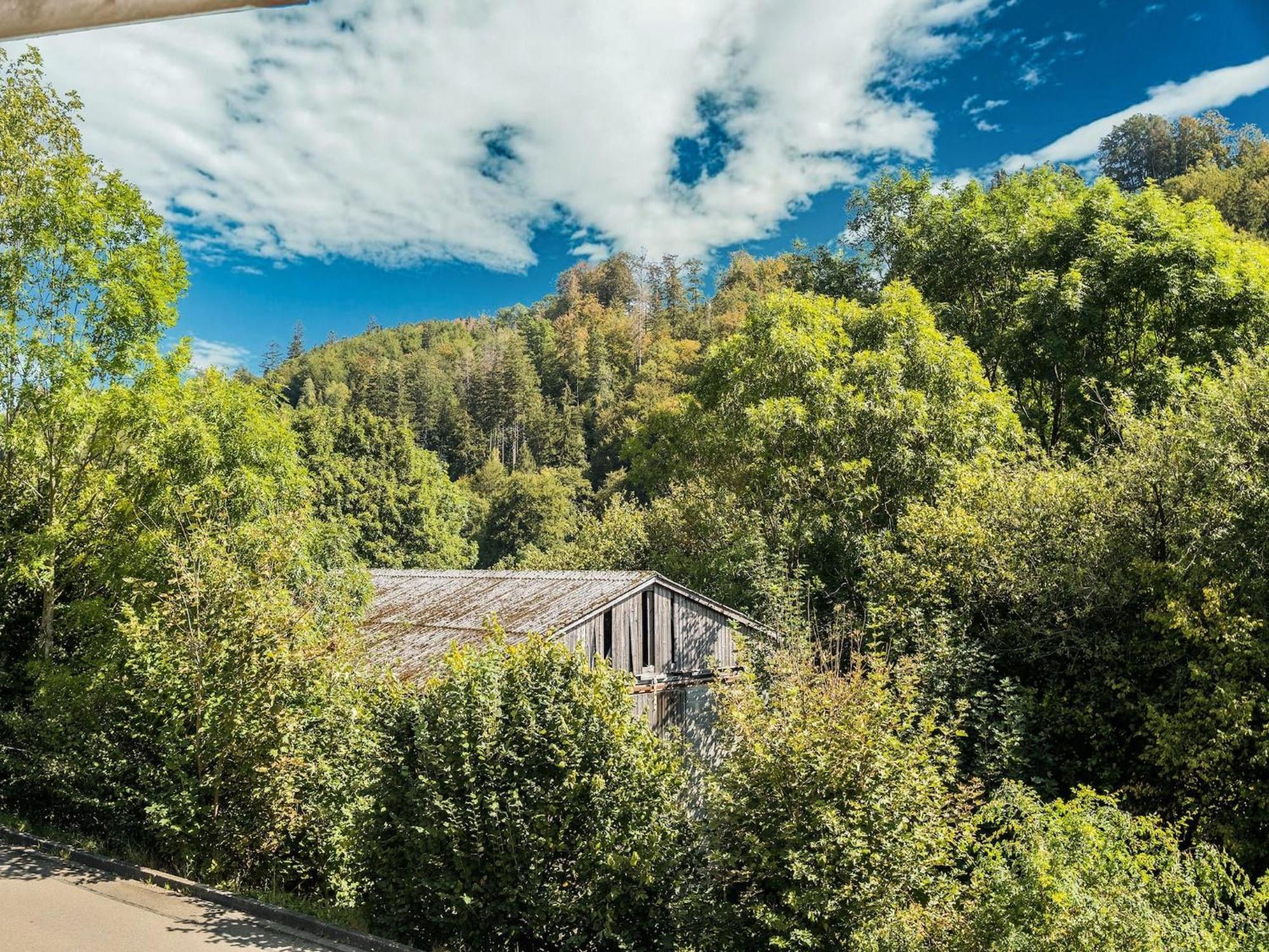 Modern Apartment In Schwalefeld With Garden Willingen  Dış mekan fotoğraf