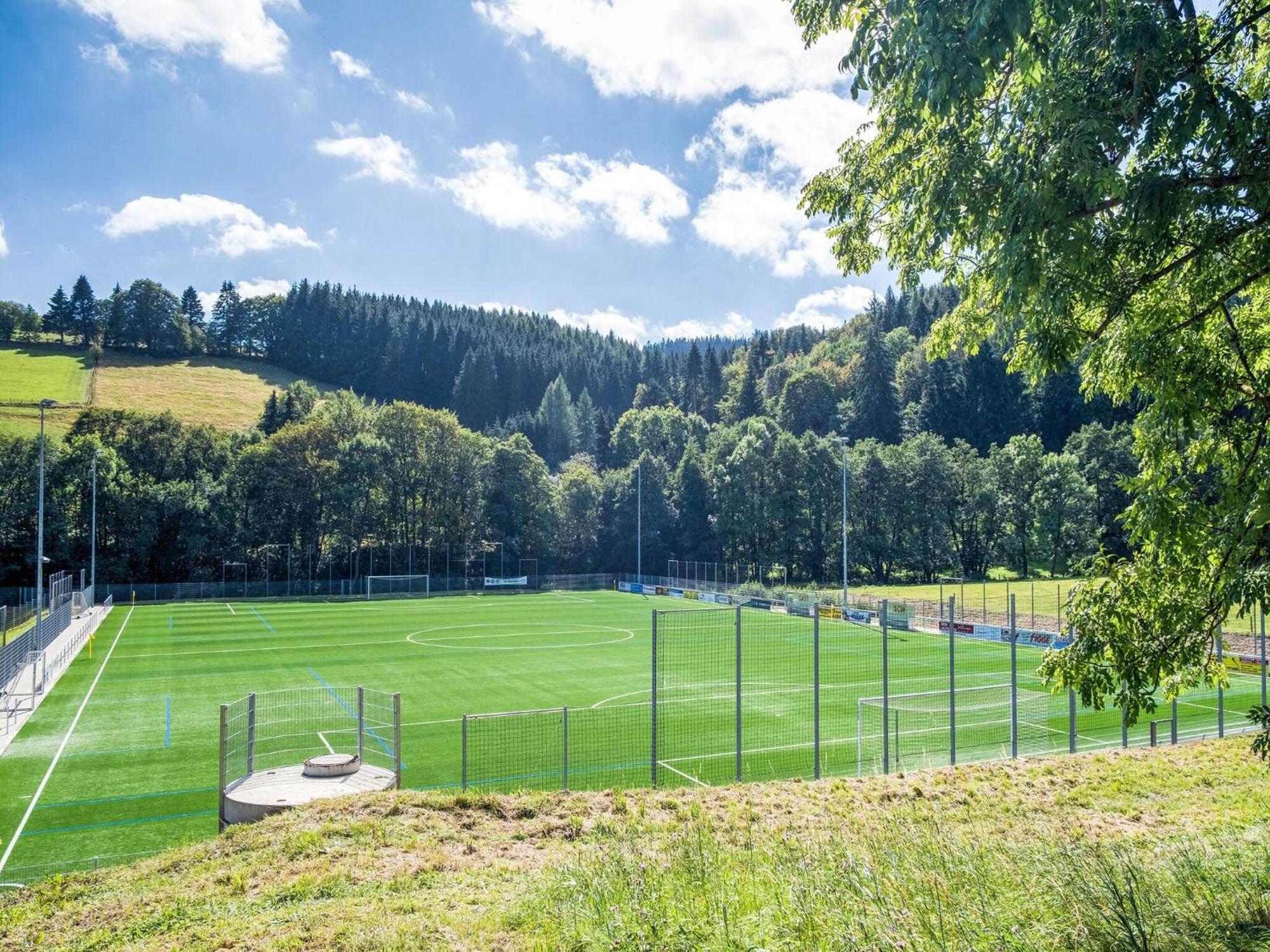 Modern Apartment In Schwalefeld With Garden Willingen  Dış mekan fotoğraf