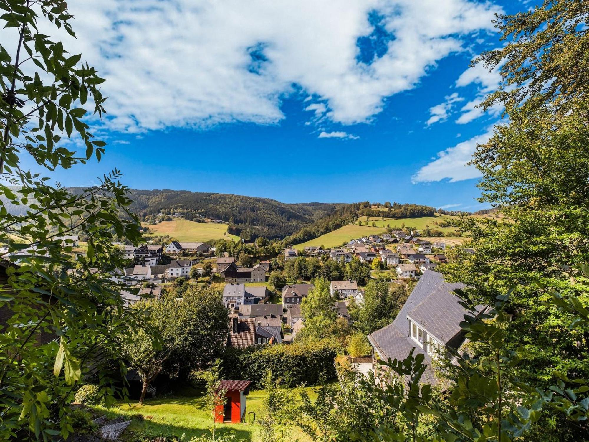 Modern Apartment In Schwalefeld With Garden Willingen  Dış mekan fotoğraf