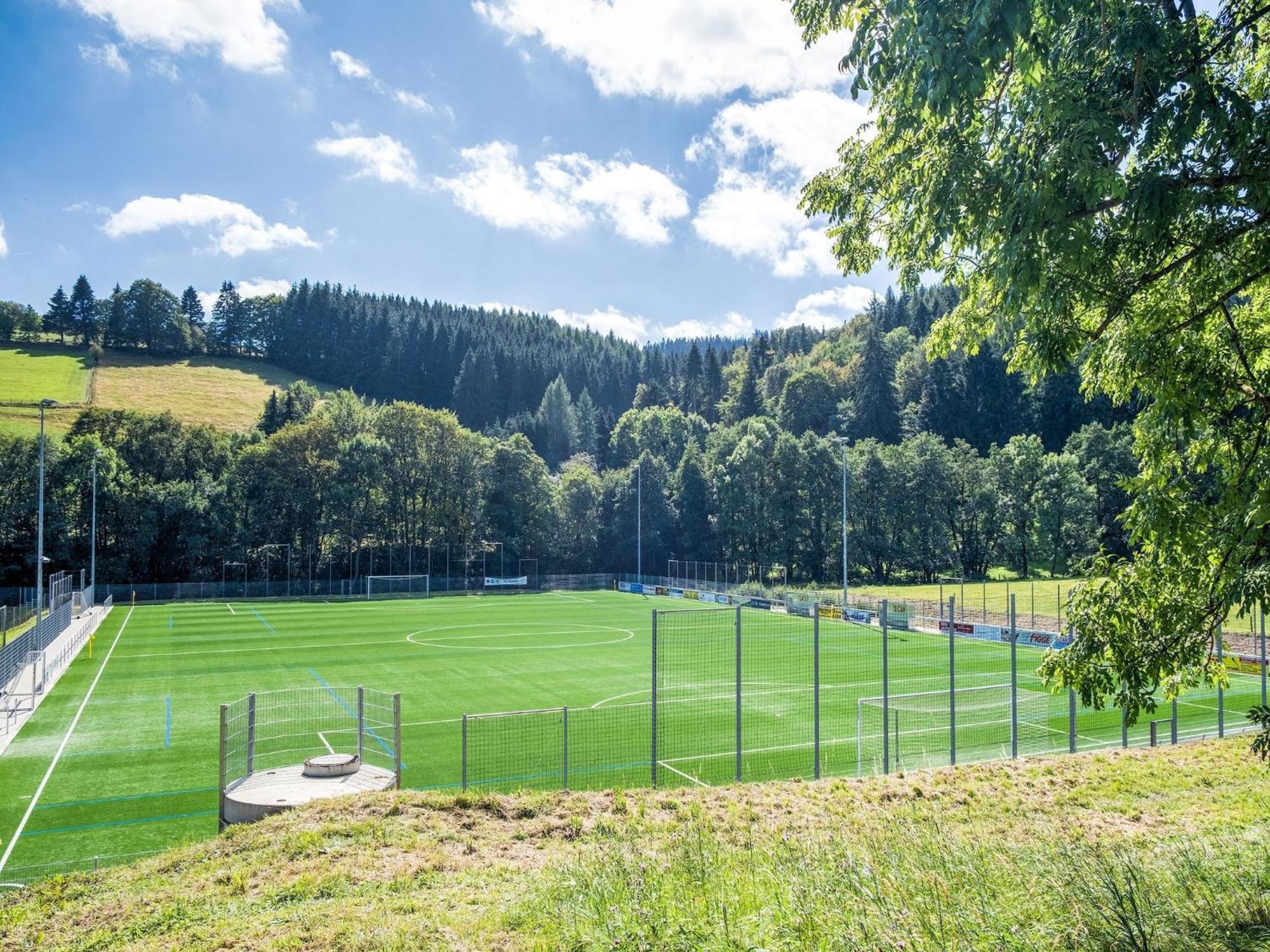 Modern Apartment In Schwalefeld With Garden Willingen  Dış mekan fotoğraf